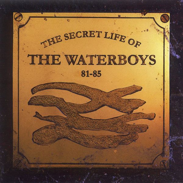 Cover of 'The Secret Life Of The Waterboys: 81‐85' - The Waterboys